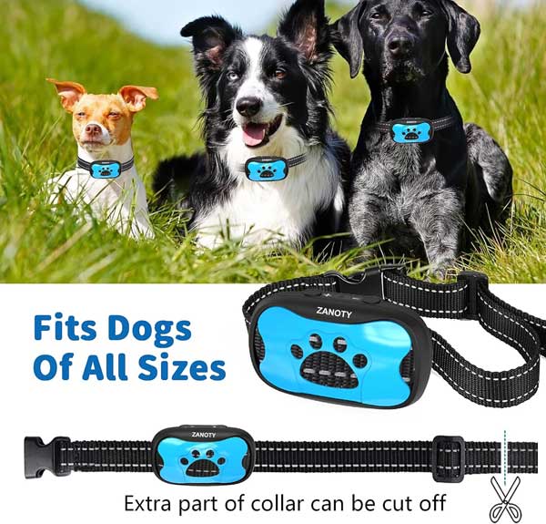 قلاده ویبره