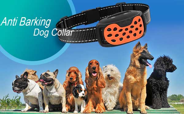 قلاده ضد پارس ویبره