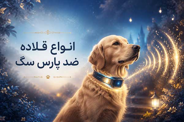 انواع قلاده ضد پارس سگ