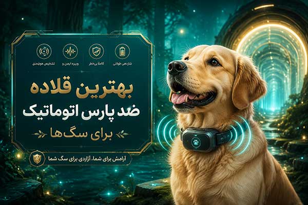 بهترین قلاده ضد پارس