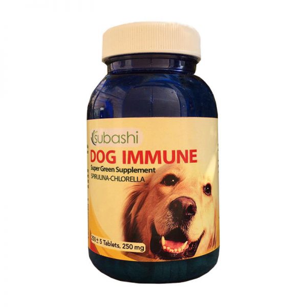 Dog Immune