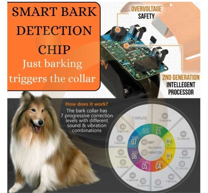 بهترین قلاده ضد پارس