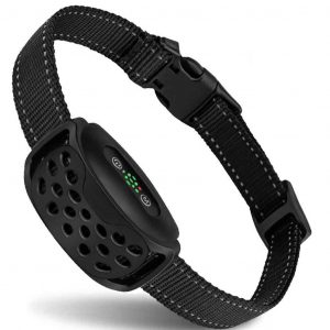 قلاده ویبره ضد پارس